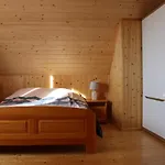 Dom wakacyjny Pod Wierzbą Sikorzyno